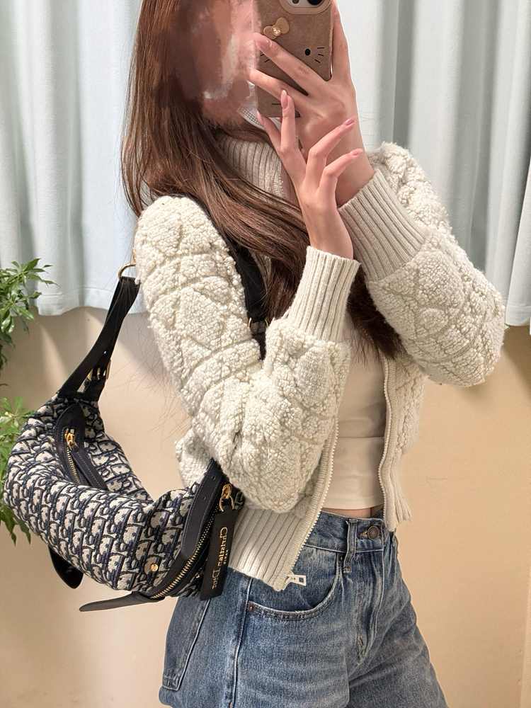 디올 D-Journey 스몰백