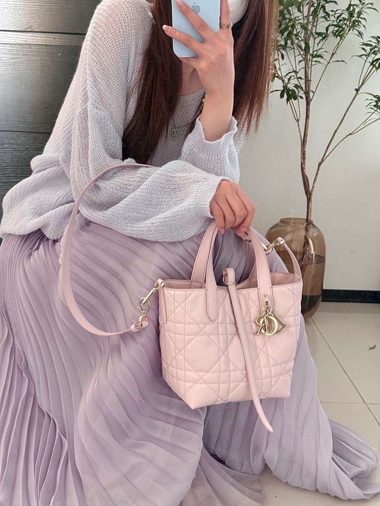 디올 뚜주흐 스몰 버티컬 토트백