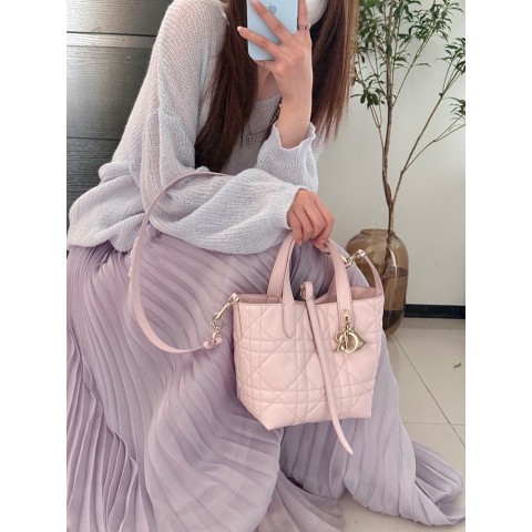 디올 뚜주흐 스몰 버티컬 토트백