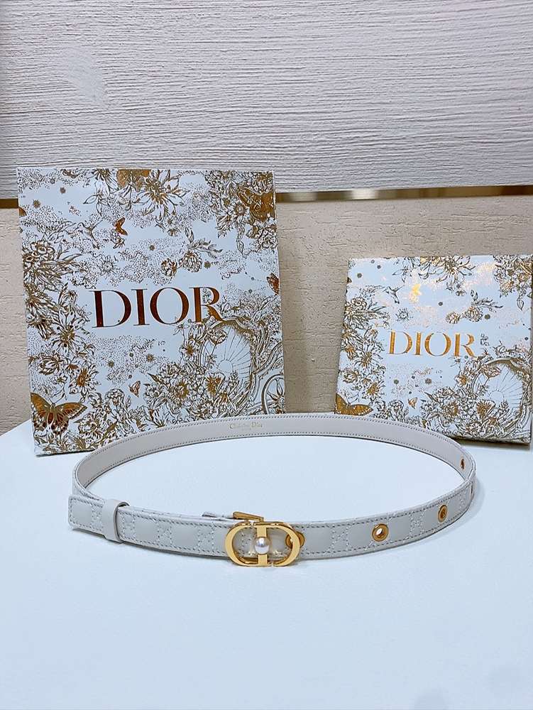 디올 30 몽테인 졸리 벨트