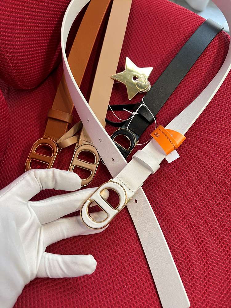 디올 30 몽테인 벨트