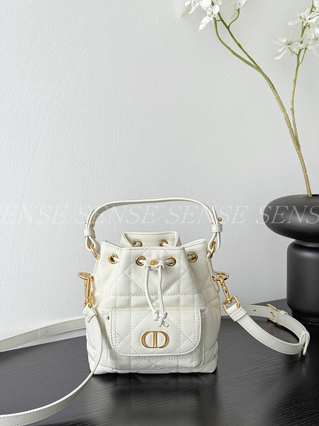 디올 카로 버킷백 나노