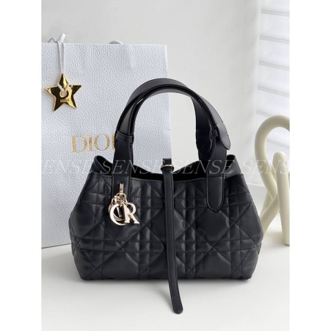 디올 뚜주흐백 스몰