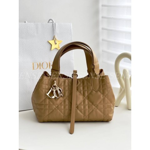 디올 뚜주흐백 스몰