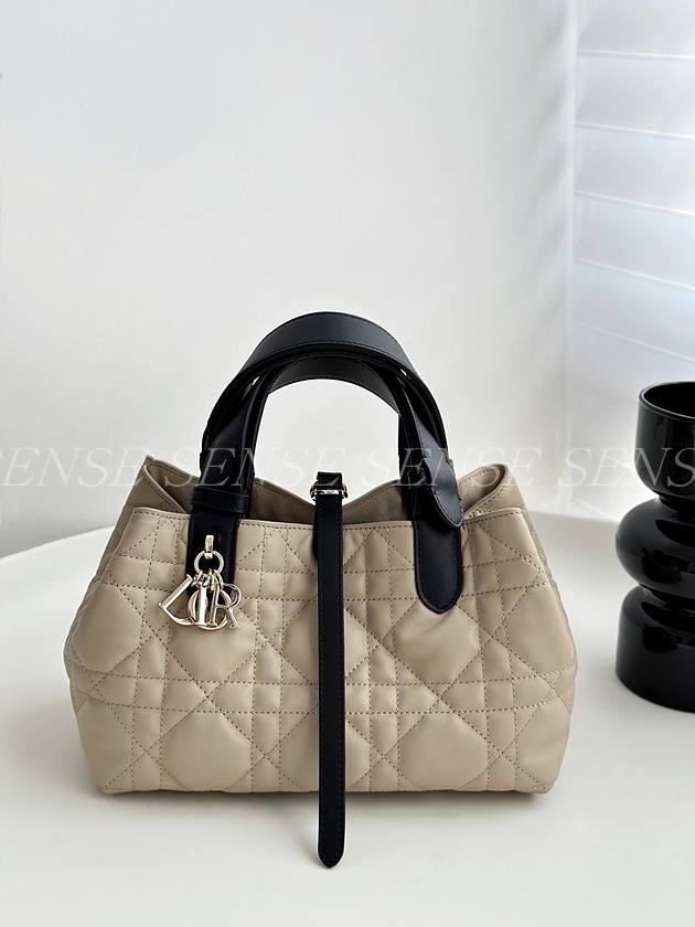 디올 뚜주흐백 스몰