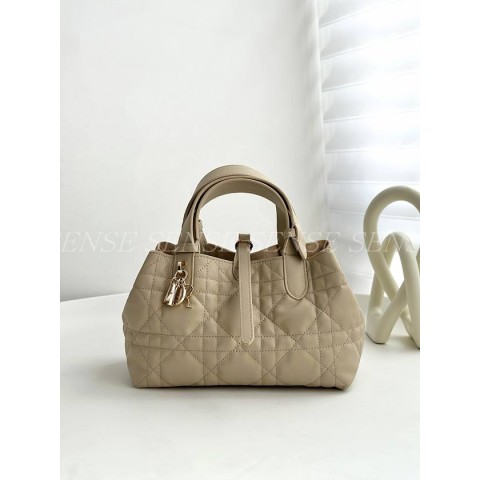 디올 뚜주흐백 스몰