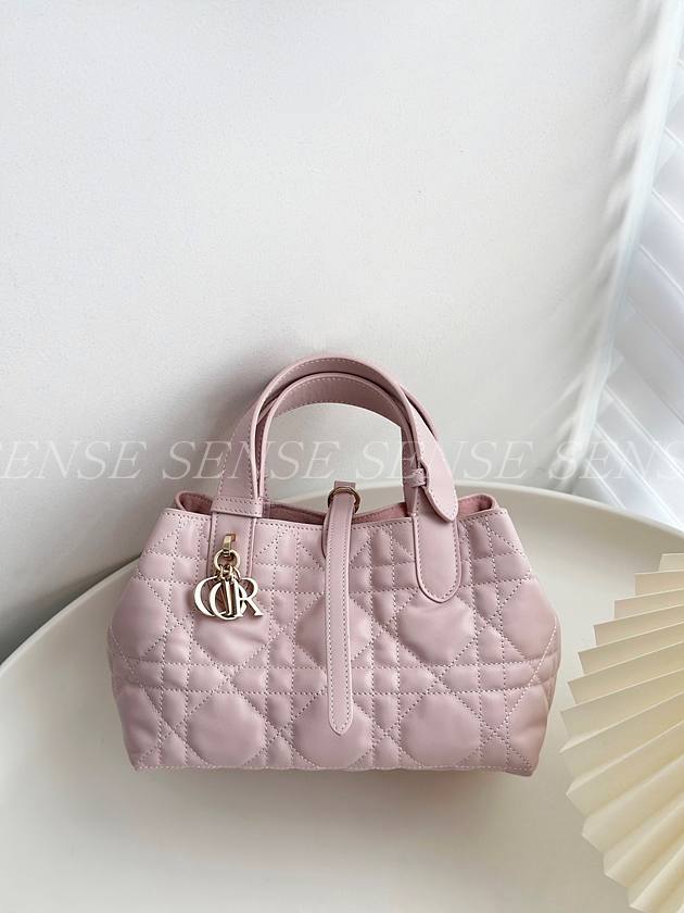 디올 뚜주흐백 스몰