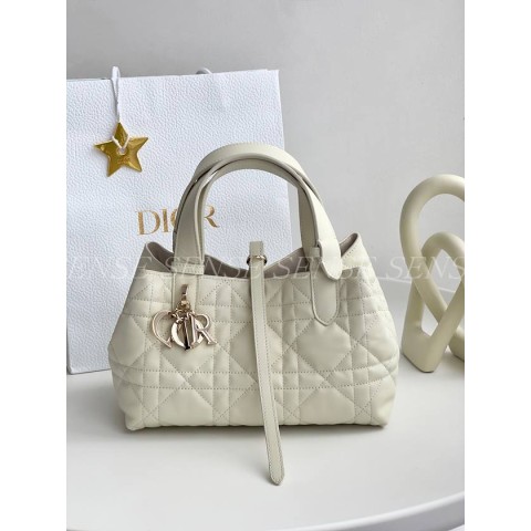 디올 뚜주흐백 스몰