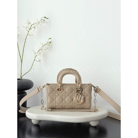 디올 디조이백 미니