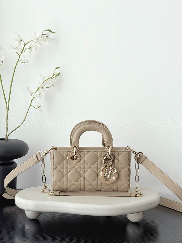 디올 디조이백 미니