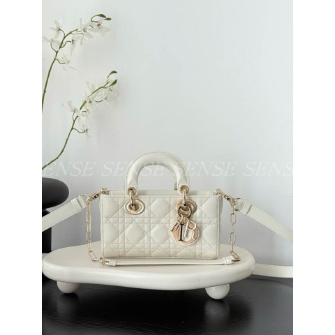 디올 디조이백 미니