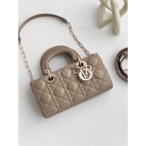 디올 디조이백 스몰