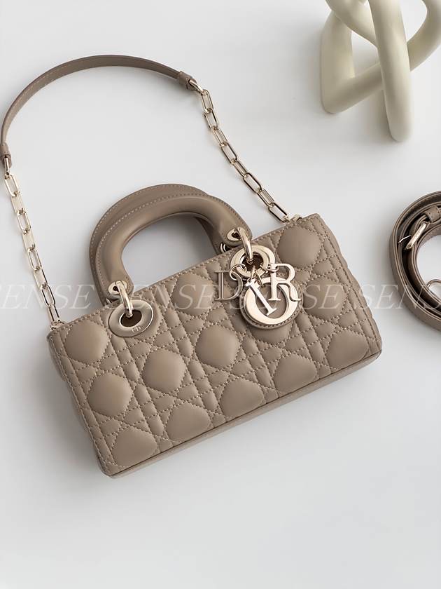 디올 디조이백 스몰