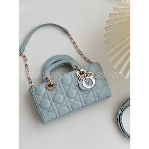 디올 디조이백 스몰