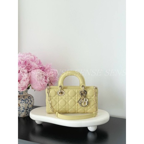 디올 디조이백 스몰