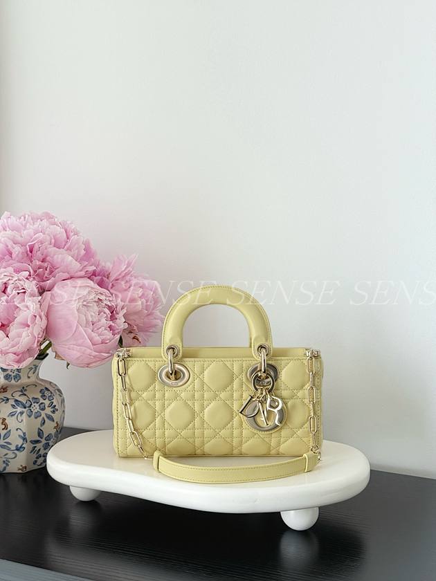 디올 디조이백 스몰