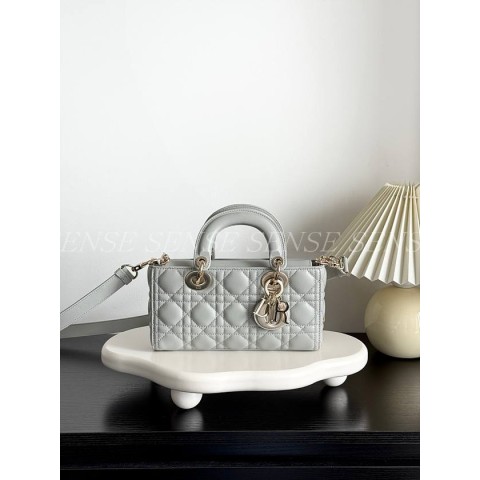 디올 디조이백 스몰