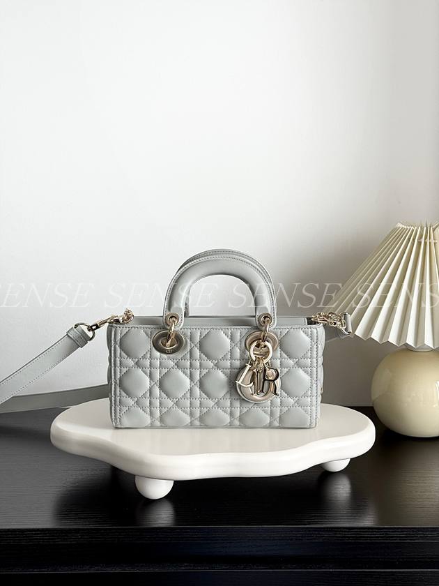 디올 디조이백 스몰