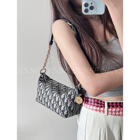 디올 스타 체인 호보백