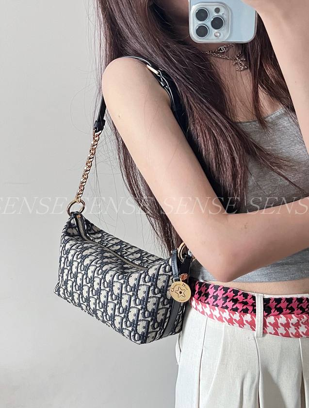 디올 스타 체인 호보백