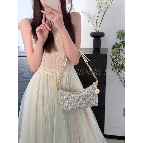 디올 스타 체인 호보백