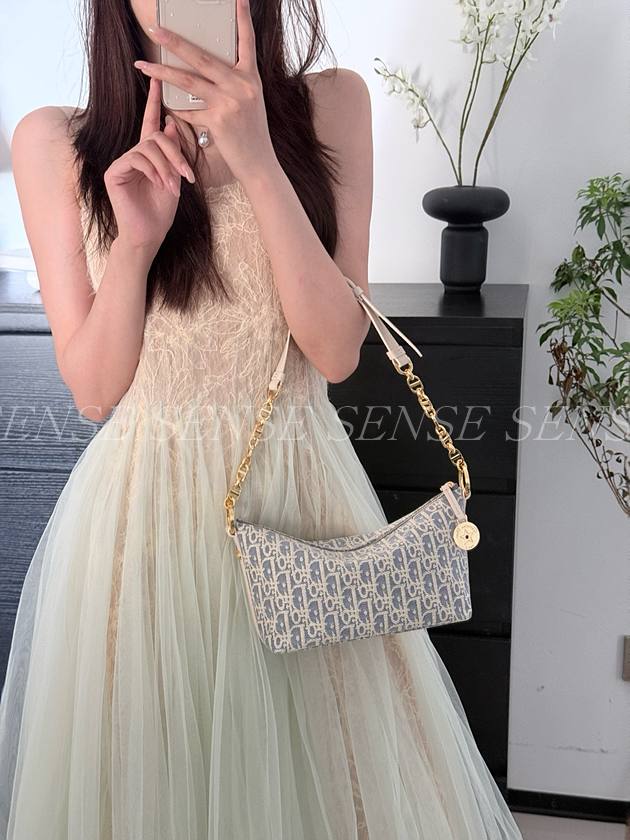 디올 스타 체인 호보백