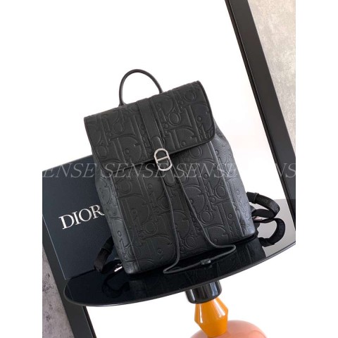 디올 데일리 플랩 백팩