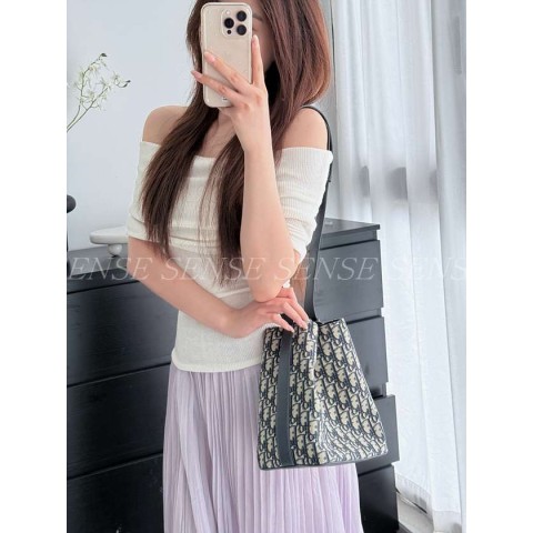 디올 스타 스몰 버킷백